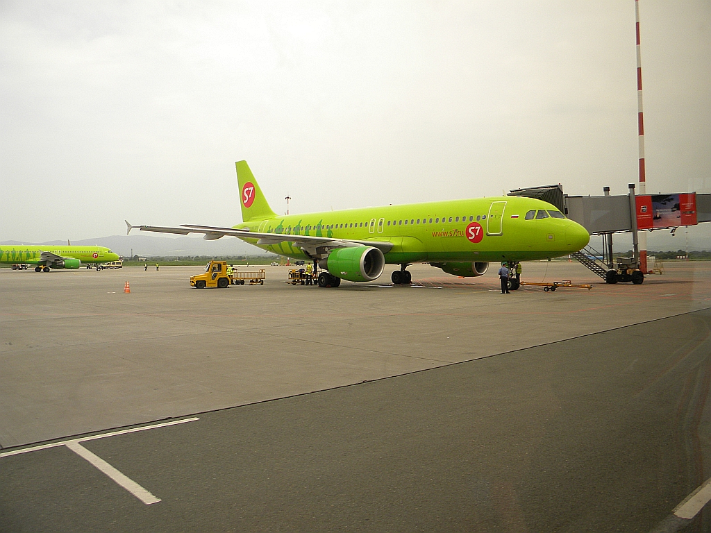Горячая s7 airlines. S7 Airlines Airbus a320. A320 s7. Airbus a320 s7. Аэробус а320 с7.