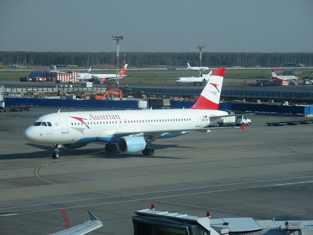 Авиакомпании домодедово. Airbus a320 Austrian Airlines. Airbus a320 Домодедово. Айрбас а 320 Пулково. Austrian Airlines a320 Neo.