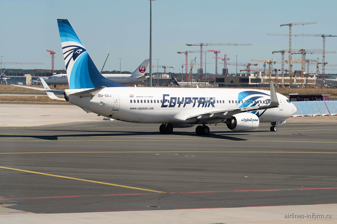 Телефон авиакомпании. Боинг 737-800 EGYPTAIR. Каирские авиалинии. Египетский авиалинии Москва. Логотип египетских авиалиний.