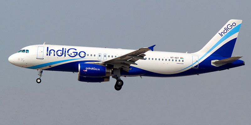 IndiGo Airlines airline