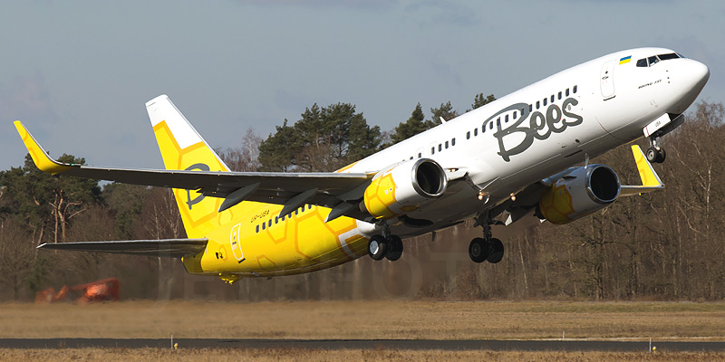 Bees Airline airline