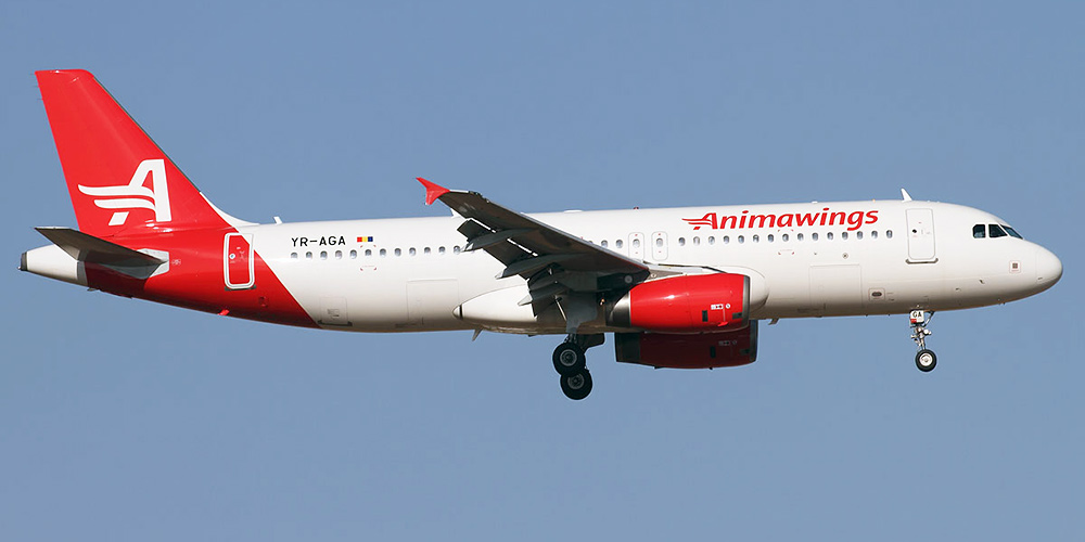 Airbus A320 авиакомпании Animawings